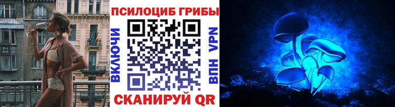 Псилоцибиновые грибы Cubensis Пролетарск